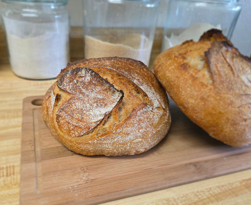 The Daily Dead Sourdough