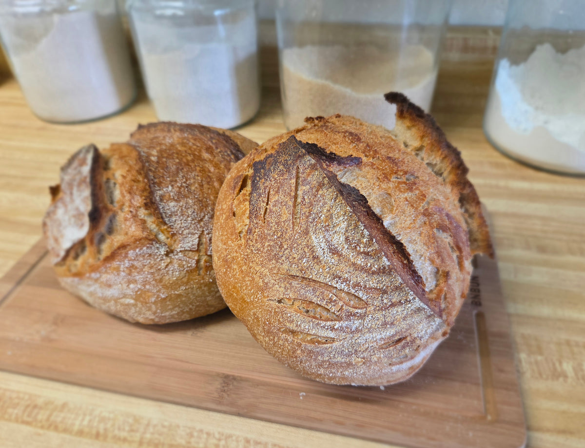 The Daily Dead Sourdough